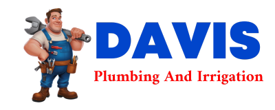 Trusted plumber in REEVES